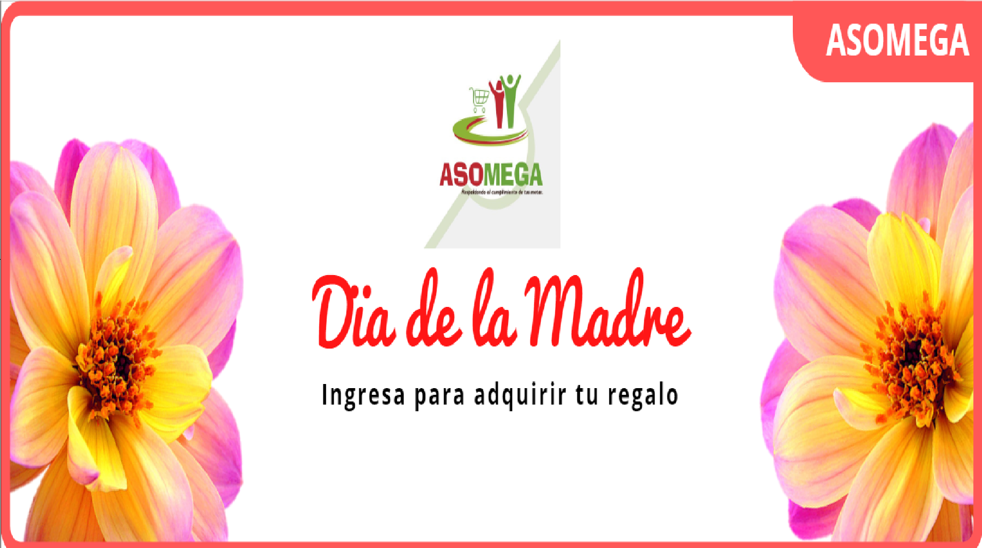 Promociones Del Día De La Madre Asomega 